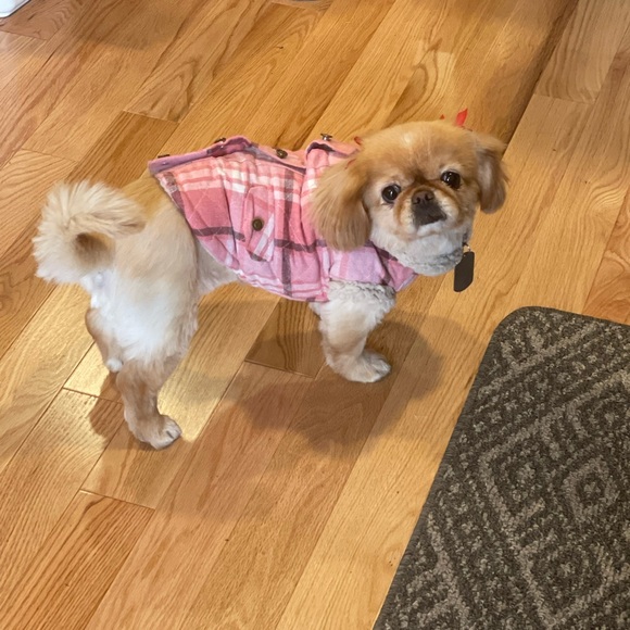 Meet your Posher, Danielle - Picture 12 of 12